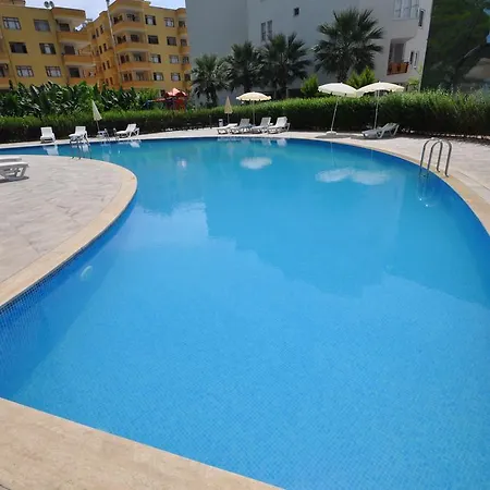 Angel Homes Marwan Daire